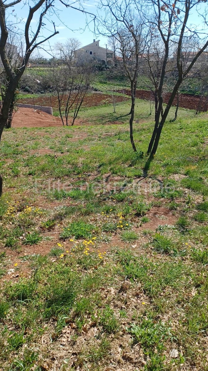 Land For sale - ISTARSKA MARČANA