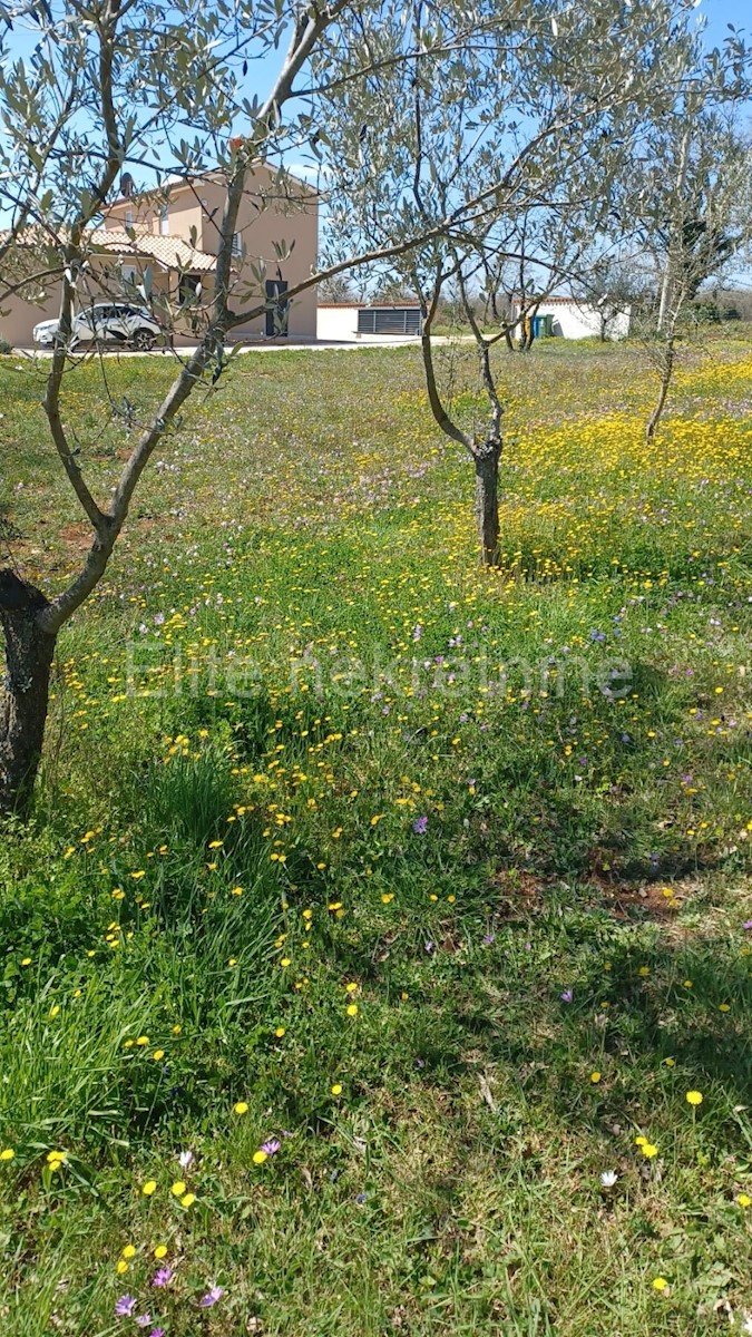 Land For sale - ISTARSKA MARČANA