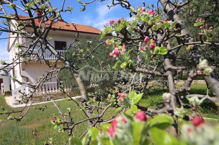 Haus Zu verkaufen - Zadarska Vir - foto 4/35