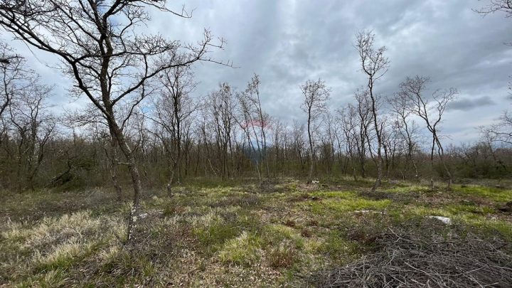 Pozemek na prodej 5523 m² – Muntrilj