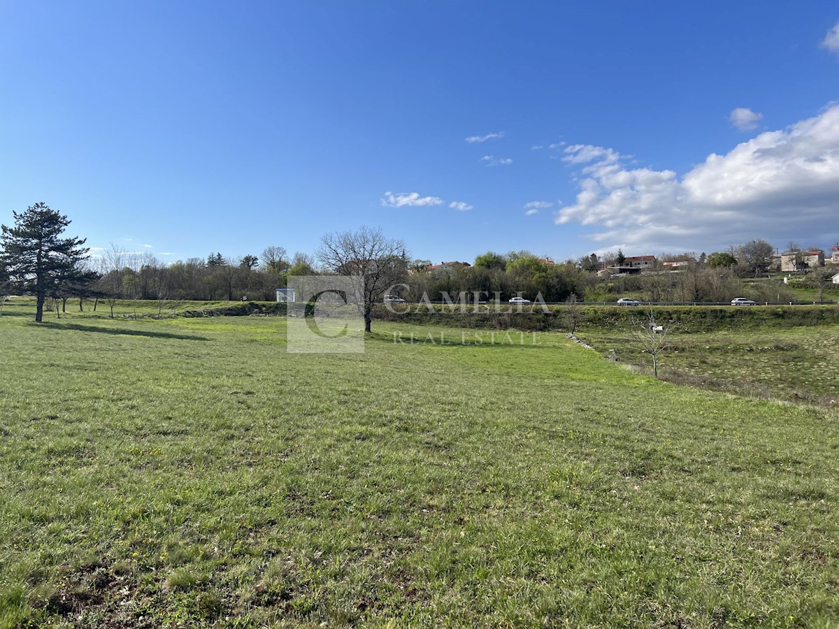 Terreno In vendita