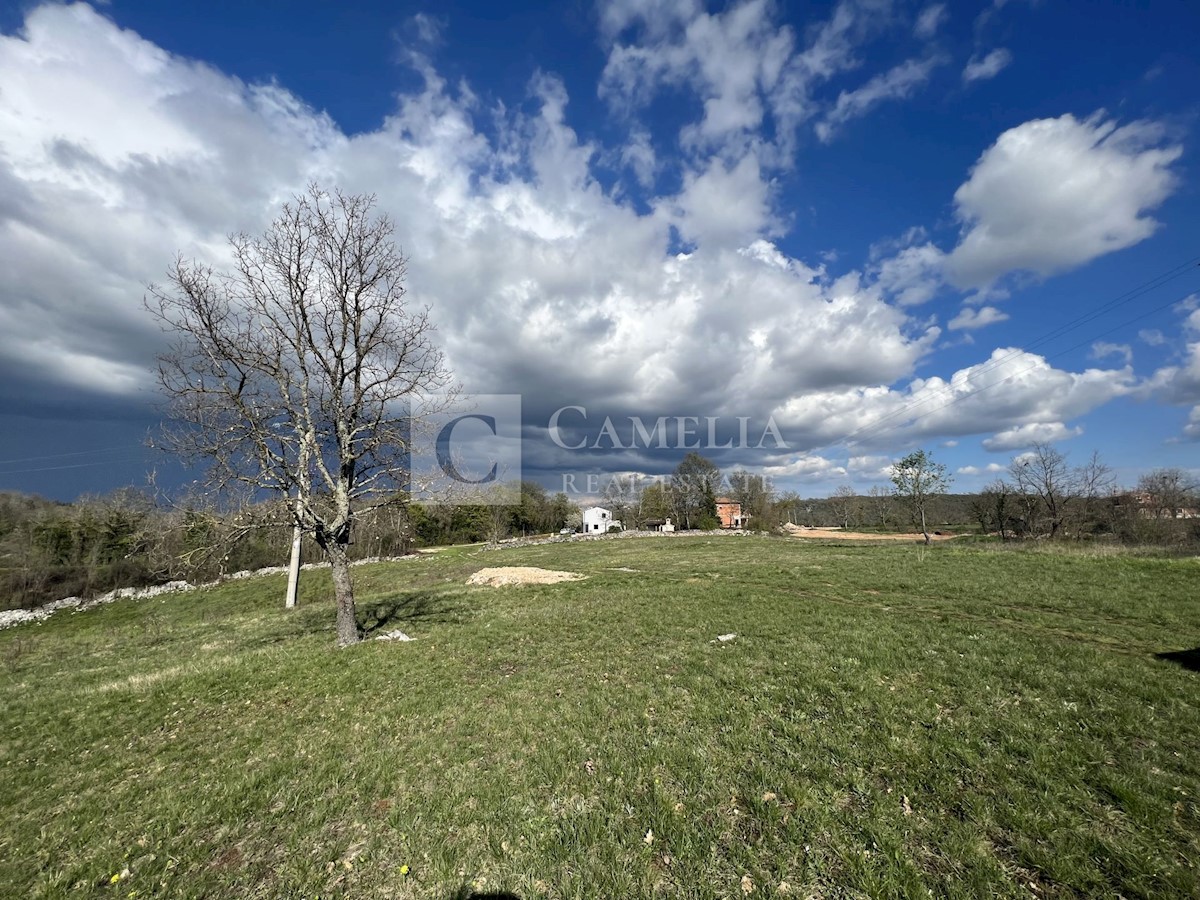 Terreno In vendita - Istarska Tinjan - foto 2/4