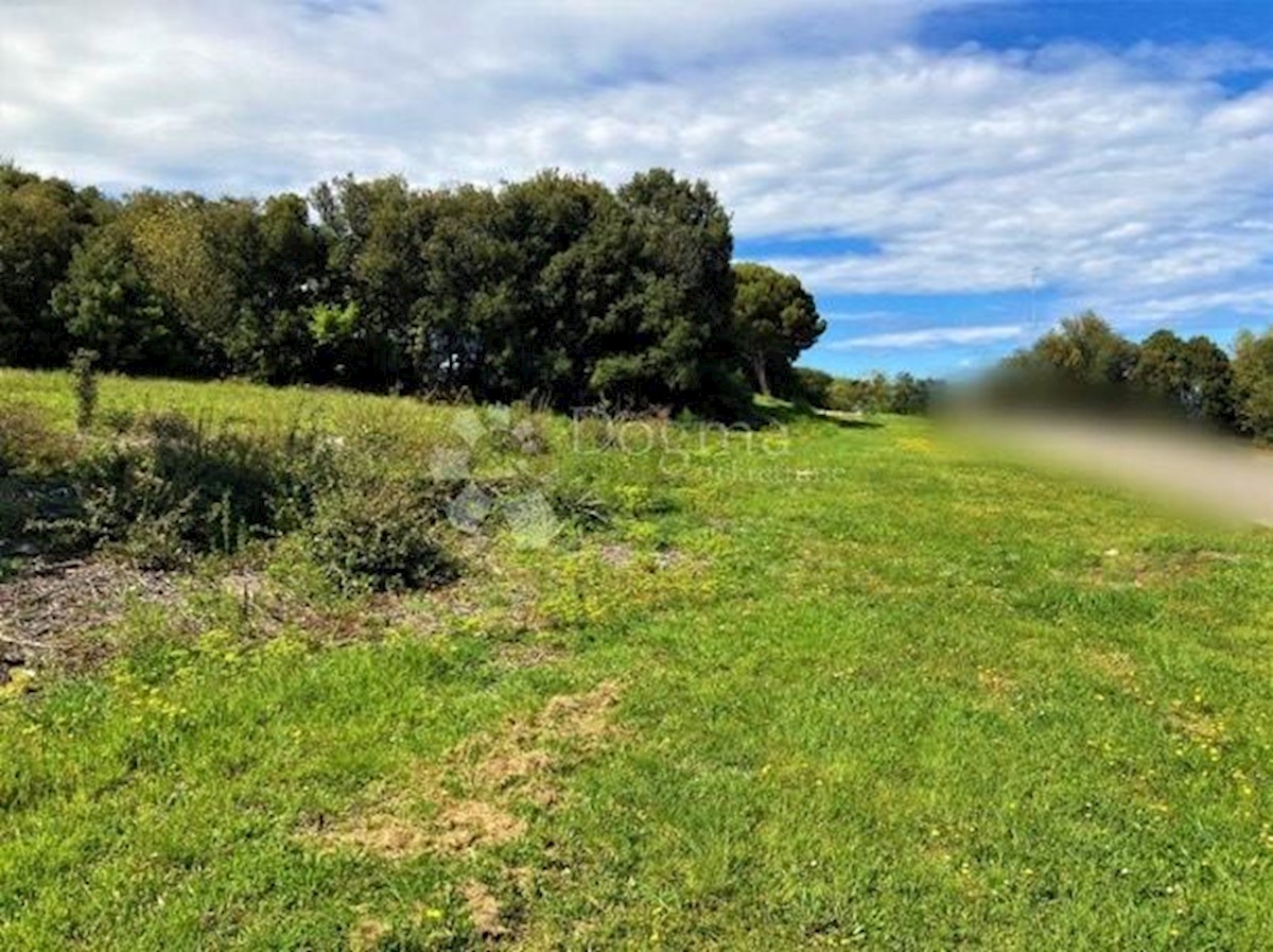 Terreno In vendita - ISTARSKA POREČ