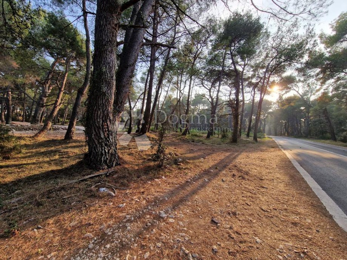 Grundstück Zu verkaufen - PRIMORSKO-GORANSKA MALI LOŠINJ