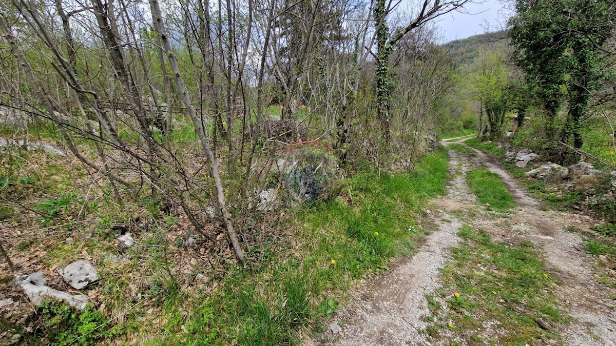 Pozemek Na prodej - ISTARSKA BUZET