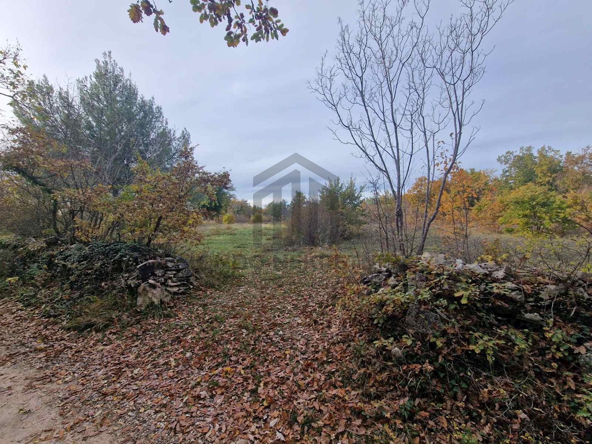 Land For sale - ISTARSKA SVETVINČENAT