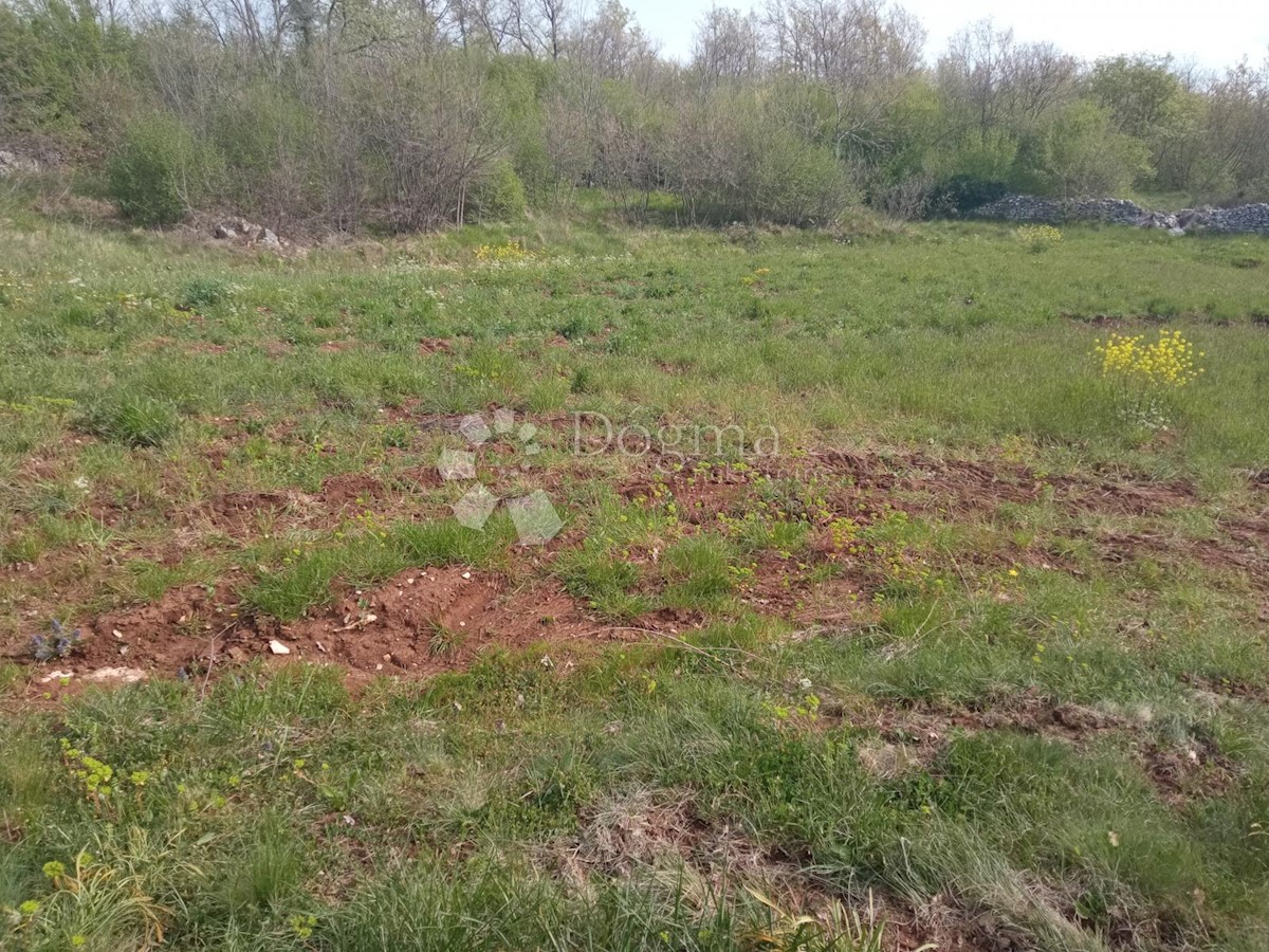 Terreno In vendita - ISTARSKA SVETVINČENAT