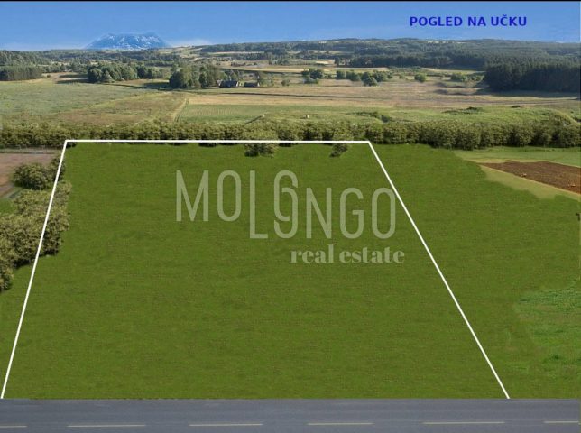 Terrain à vendre 10655 m² – Svetvinčenat