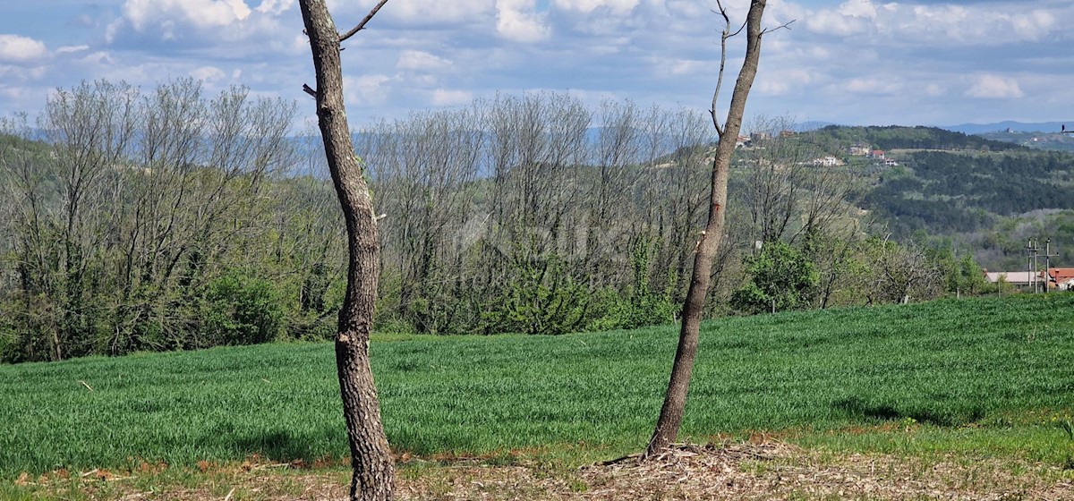 Land For sale - ISTARSKA KAROJBA
