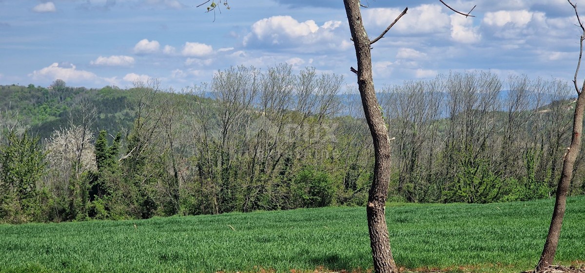 Land For sale - ISTARSKA KAROJBA