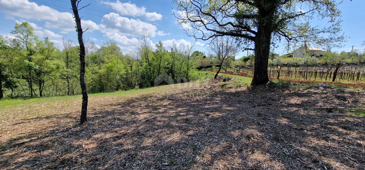 Land For sale - ISTARSKA KAROJBA
