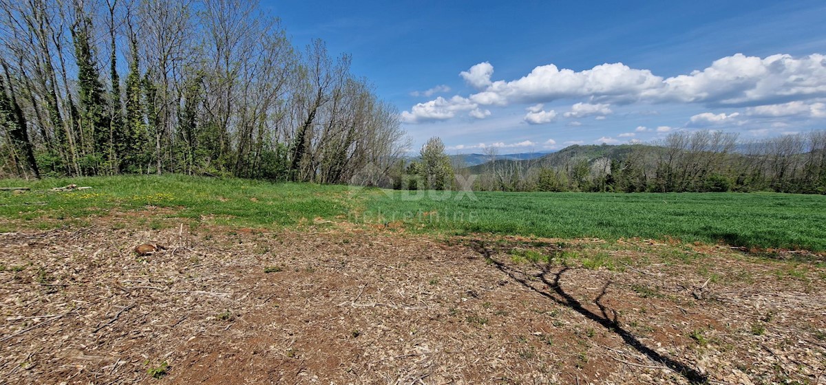 Land For sale - ISTARSKA KAROJBA