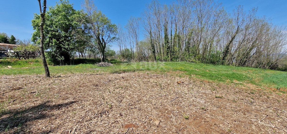 Land For sale - ISTARSKA KAROJBA