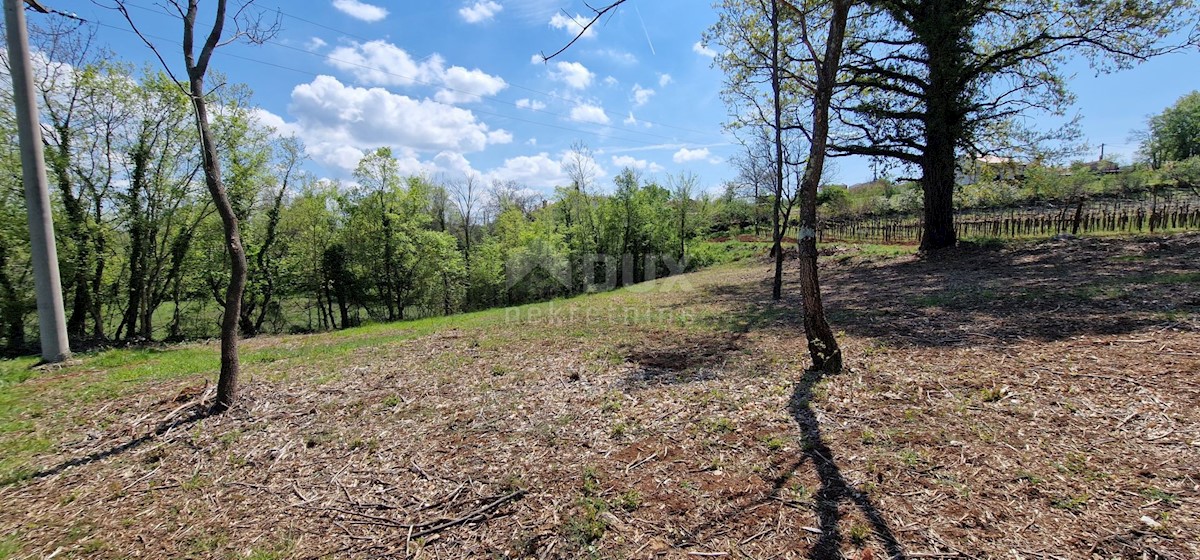 Land For sale - ISTARSKA KAROJBA