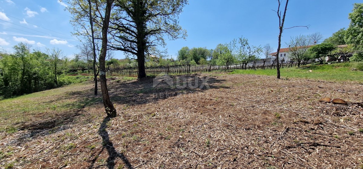 Land For sale - ISTARSKA KAROJBA
