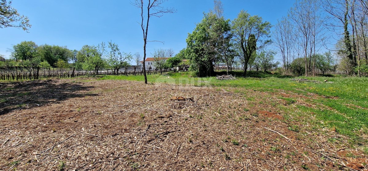 Land For sale - ISTARSKA KAROJBA