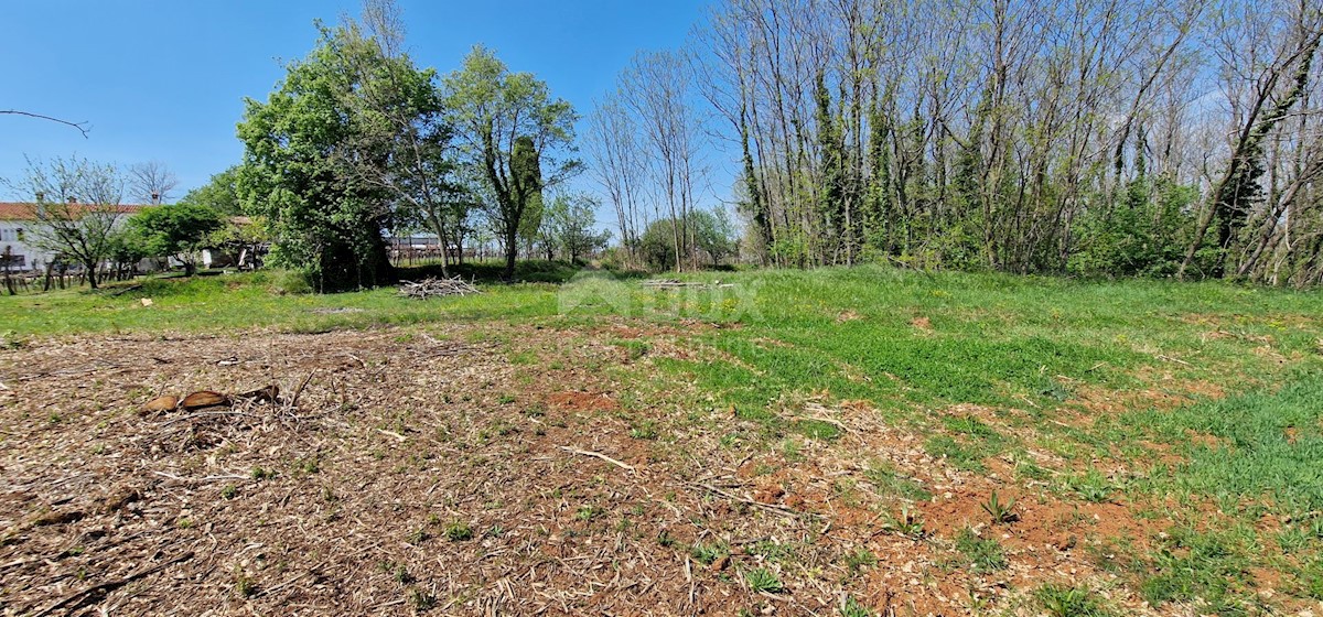 Land For sale - ISTARSKA KAROJBA