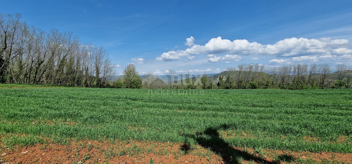 Land For sale - ISTARSKA KAROJBA