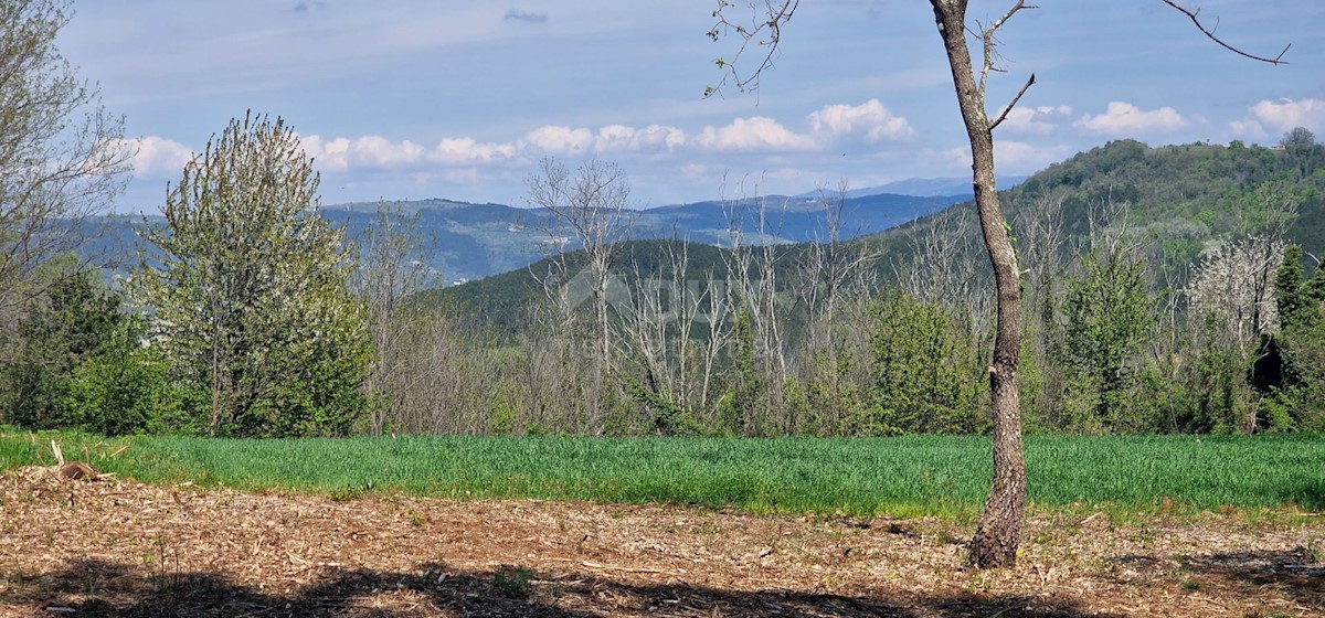 Land For sale - ISTARSKA KAROJBA