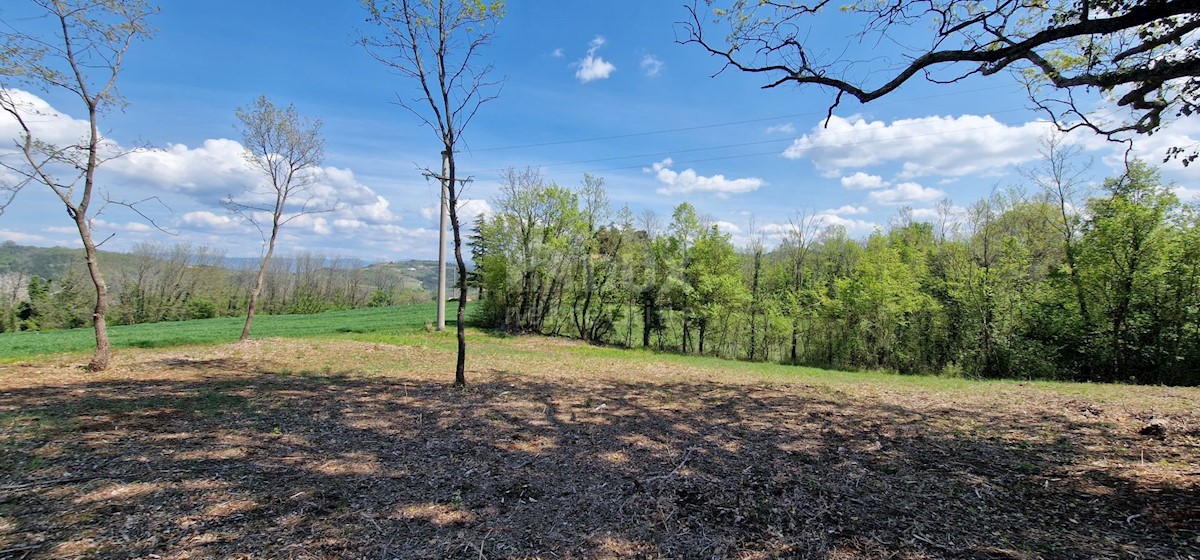 Land For sale - ISTARSKA KAROJBA