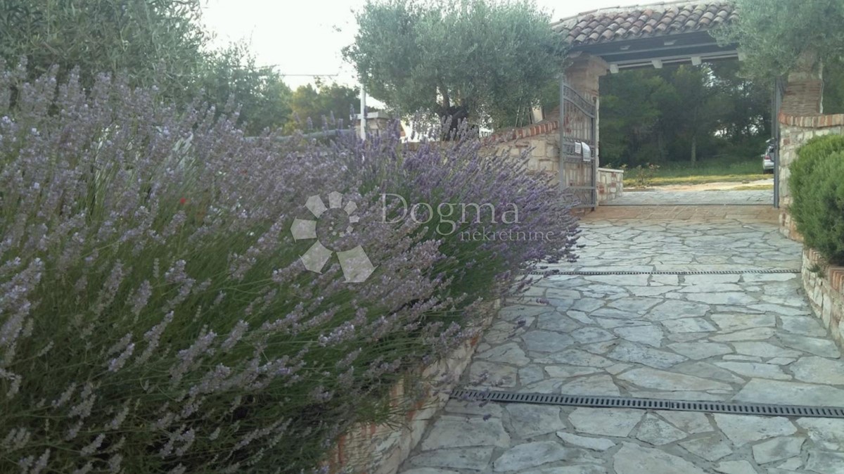 Poslovni prostor Na prodaju - ISTARSKA UMAG
