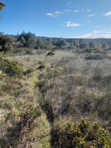 Zemljište na prodaju 15000 m² – Supetar