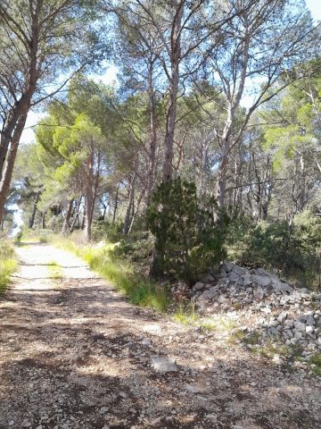 Zemljište Na prodaju - Splitsko-dalmatinska Brela - foto 2/9