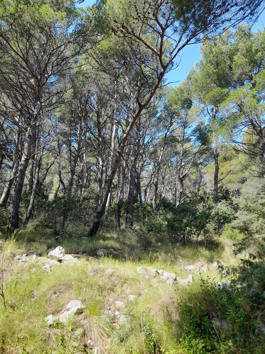 Land For sale - Splitsko-dalmatinska Brela - foto 4/9