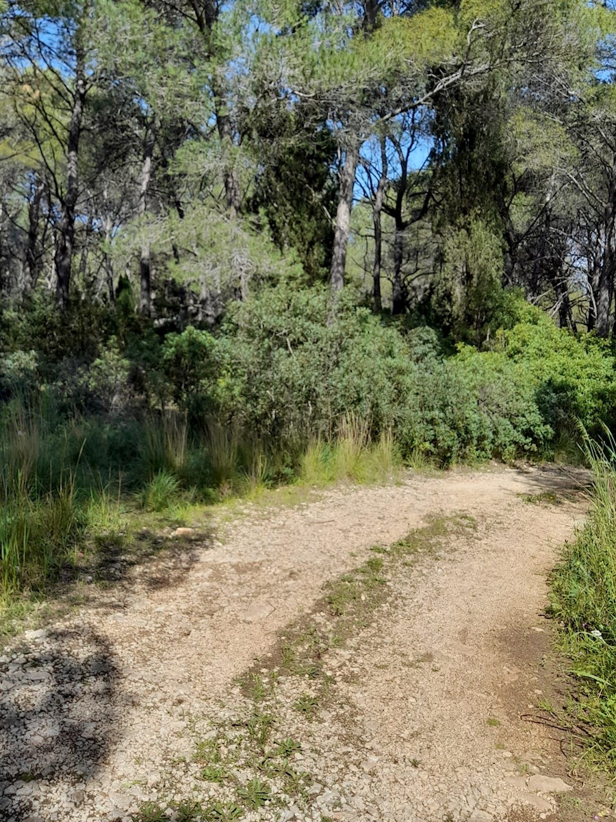 Land For sale - SPLITSKO-DALMATINSKA BRELA