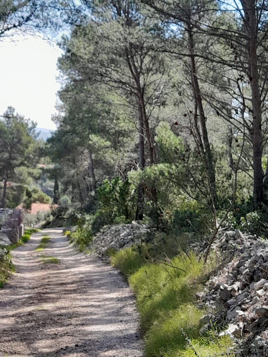 Land For sale - SPLITSKO-DALMATINSKA BRELA