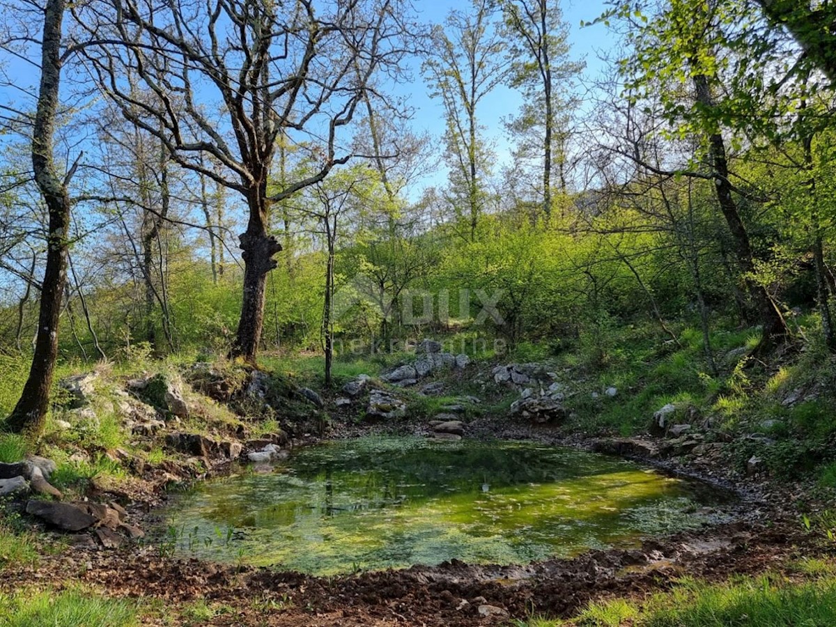 Dom Na predaj - ISTARSKA LABIN