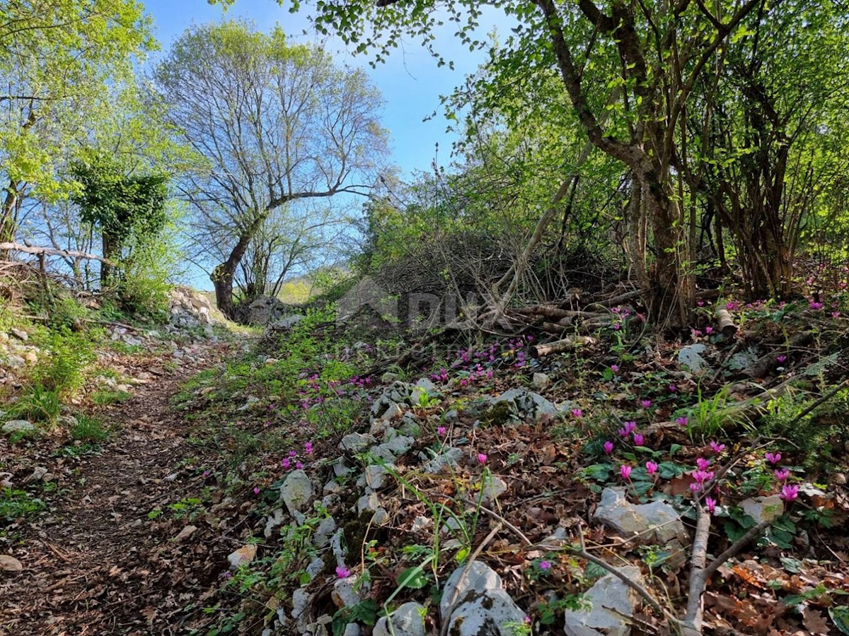 Kuća Na prodaju - ISTARSKA LABIN