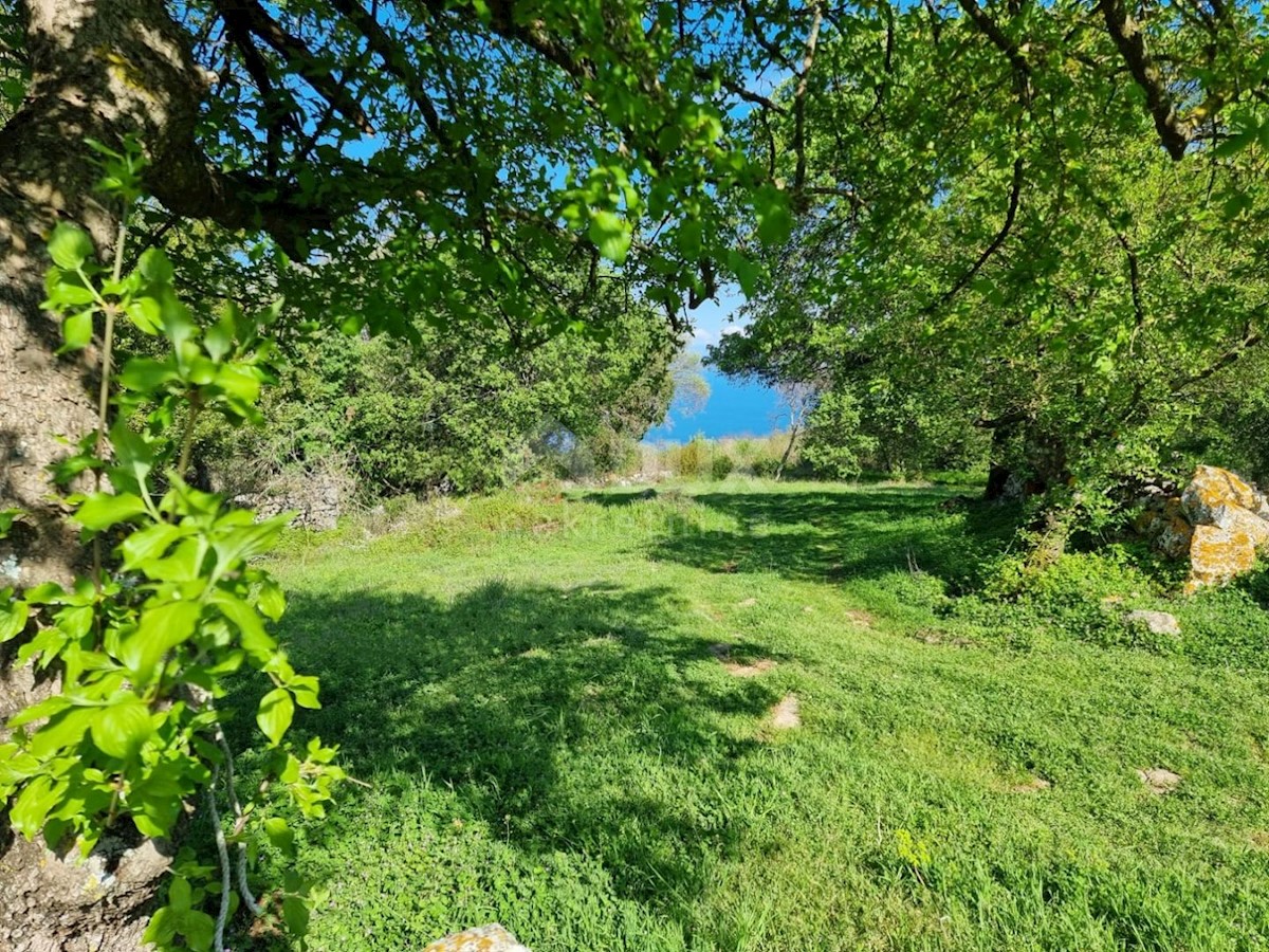 Dom Na predaj - ISTARSKA LABIN