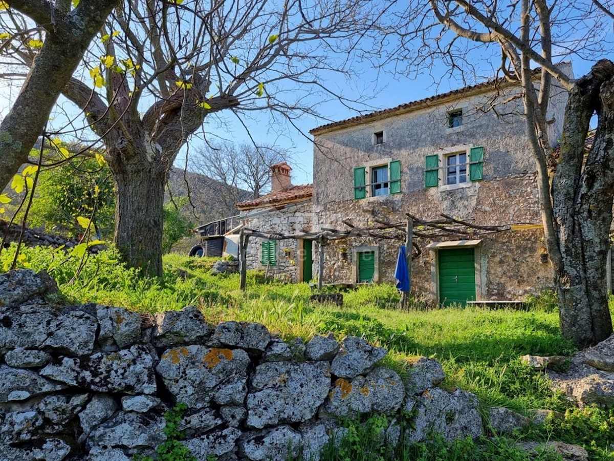 Haus Zu verkaufen - ISTARSKA LABIN