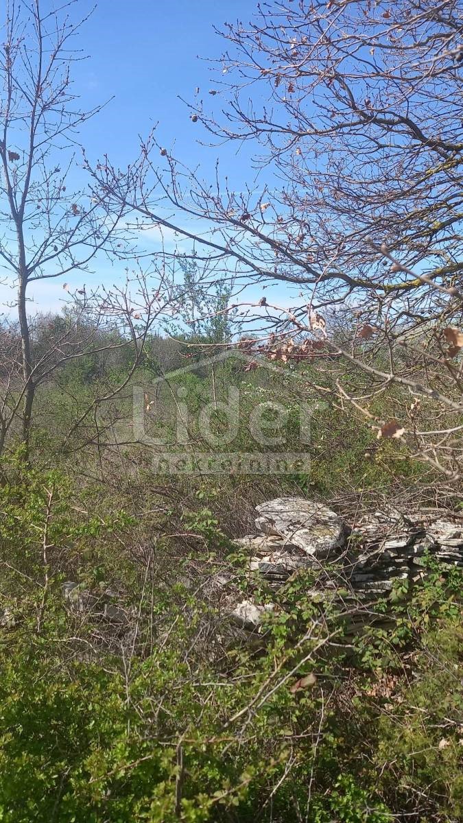 Land For sale - ISTARSKA SVETVINČENAT