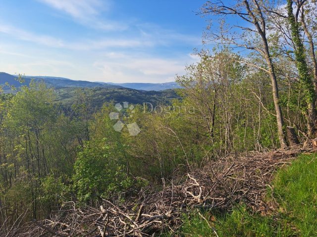 Pozemek na prodej 5351 m² – Račice