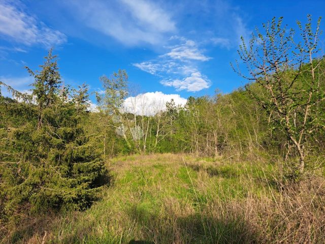 Pozemek na prodej 2106 m² – Račice
