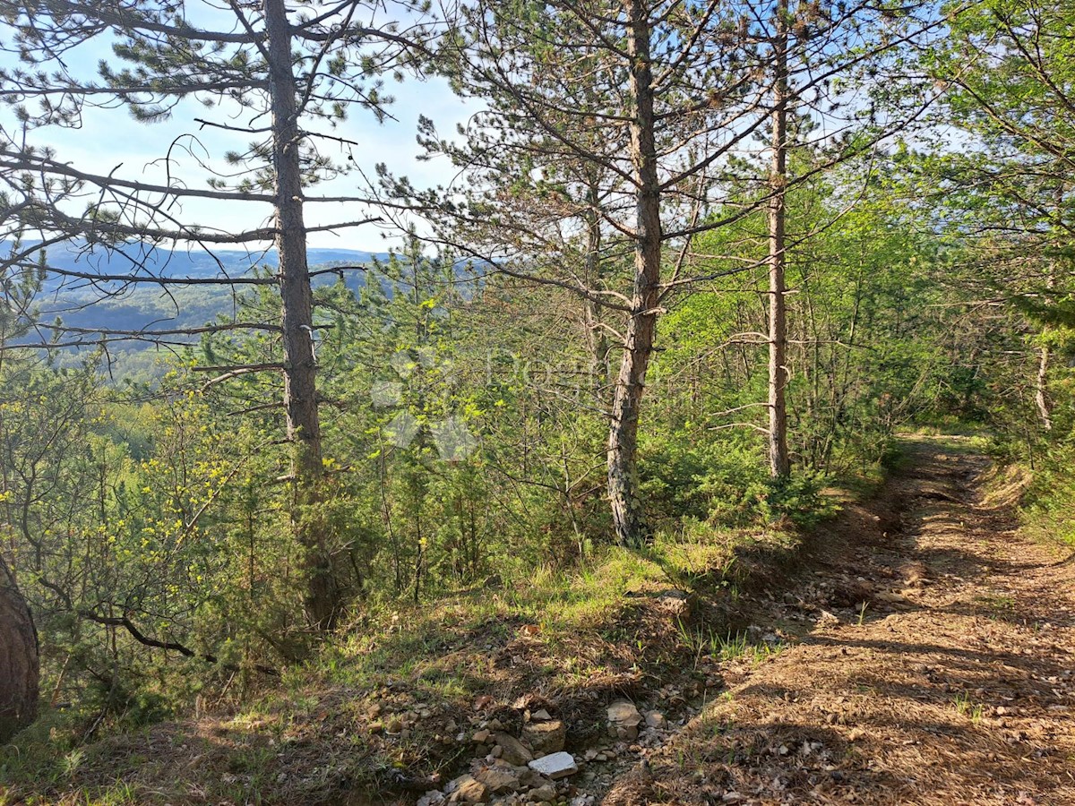 Pozemek Na prodej - ISTARSKA BUZET