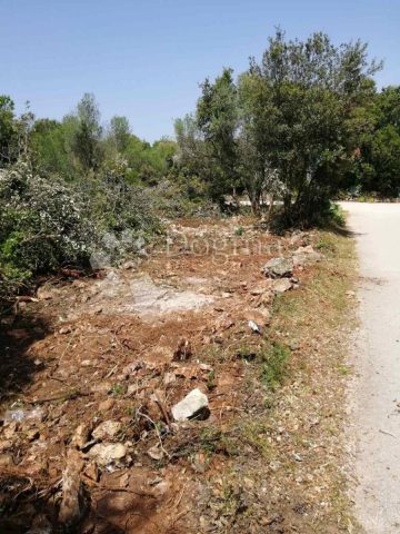 Land For sale - Zadarska Pašman - foto 2/3