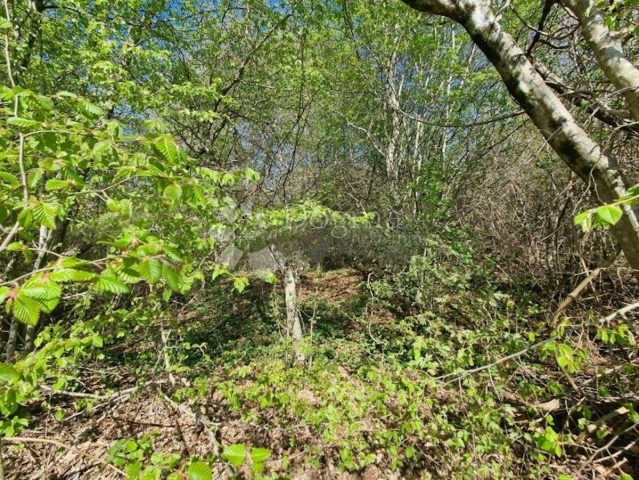 Pozemek na prodej 9530 m² – Materada