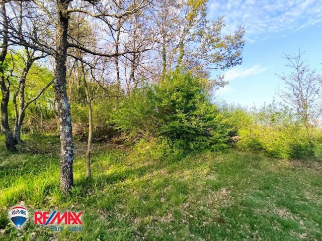 Pozemok na predaj 6800 m² – Glavani