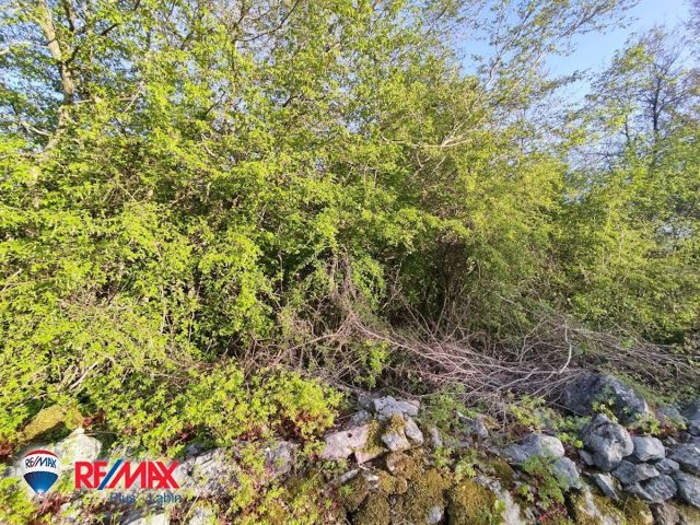 Parcela Naprodaj - Istarska Barban - foto 4/7
