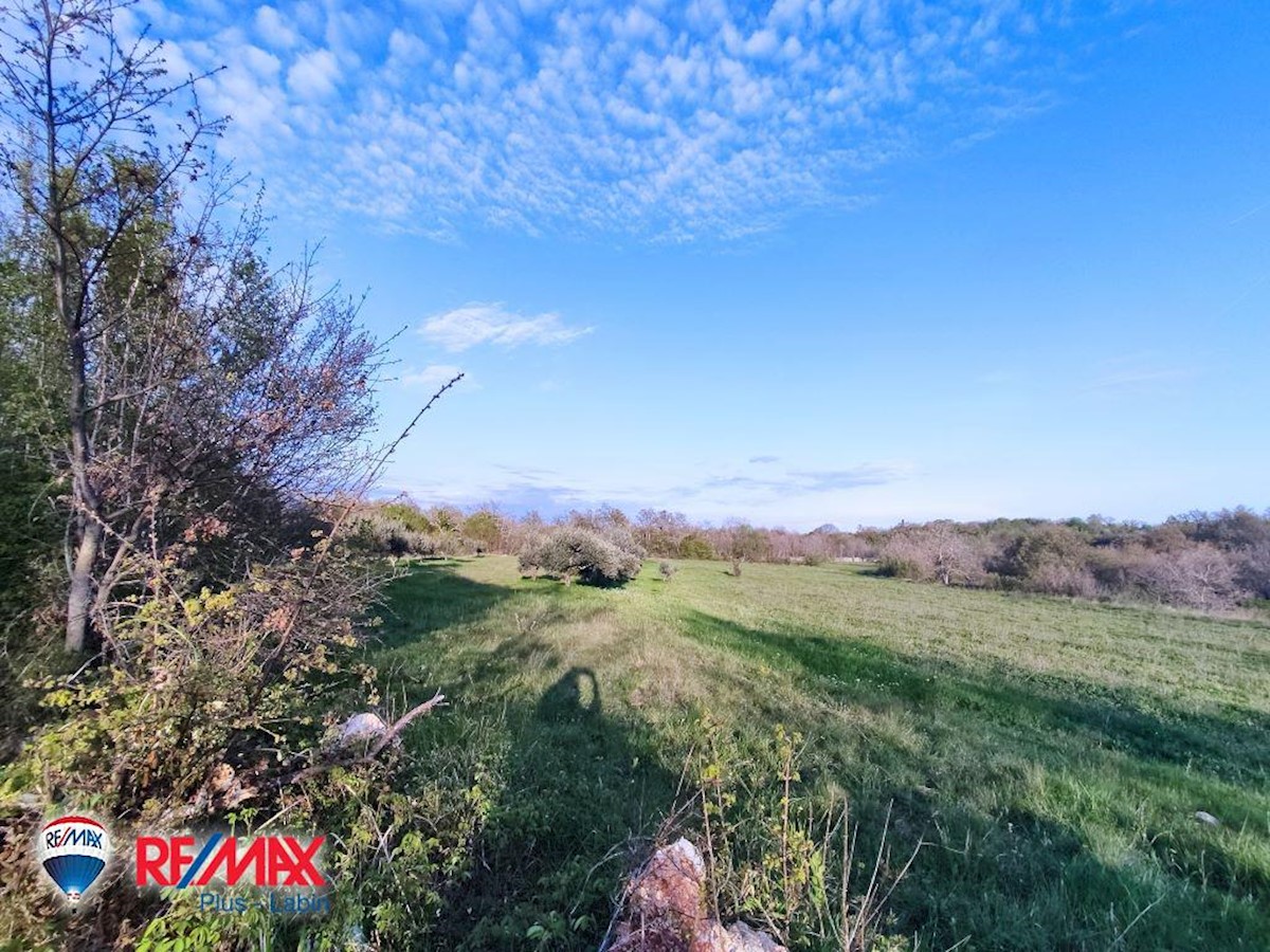Parcela Naprodaj - ISTARSKA Barban