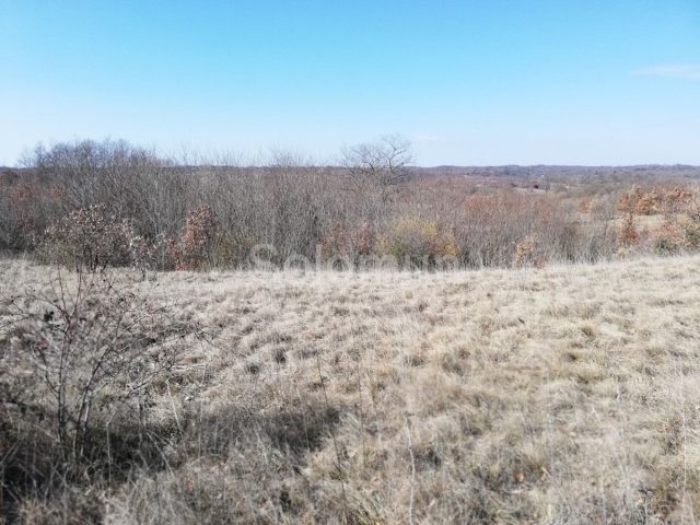 Terrain à vendre 16800 m² – Žminj