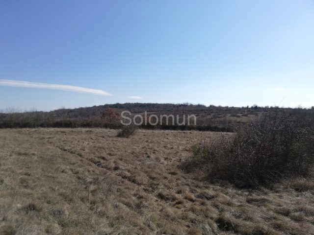 Land for sale 4564 m² – Žminj