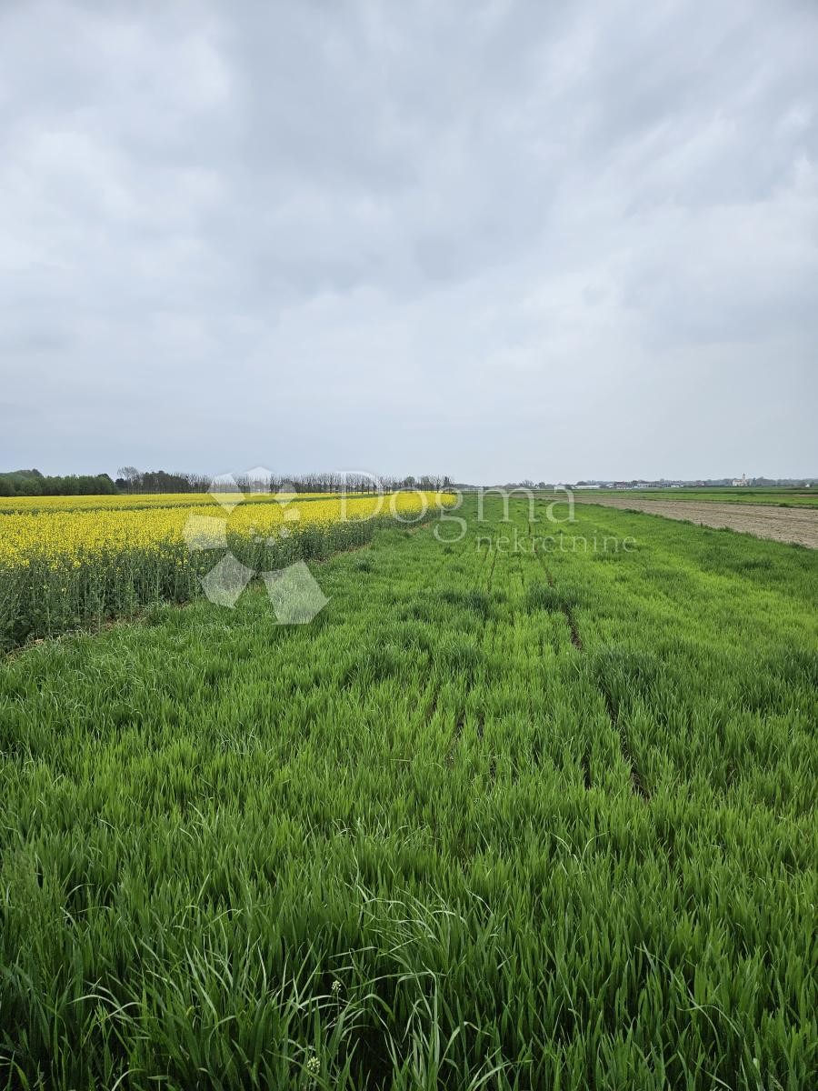 Terreno In vendita TRNOVEC