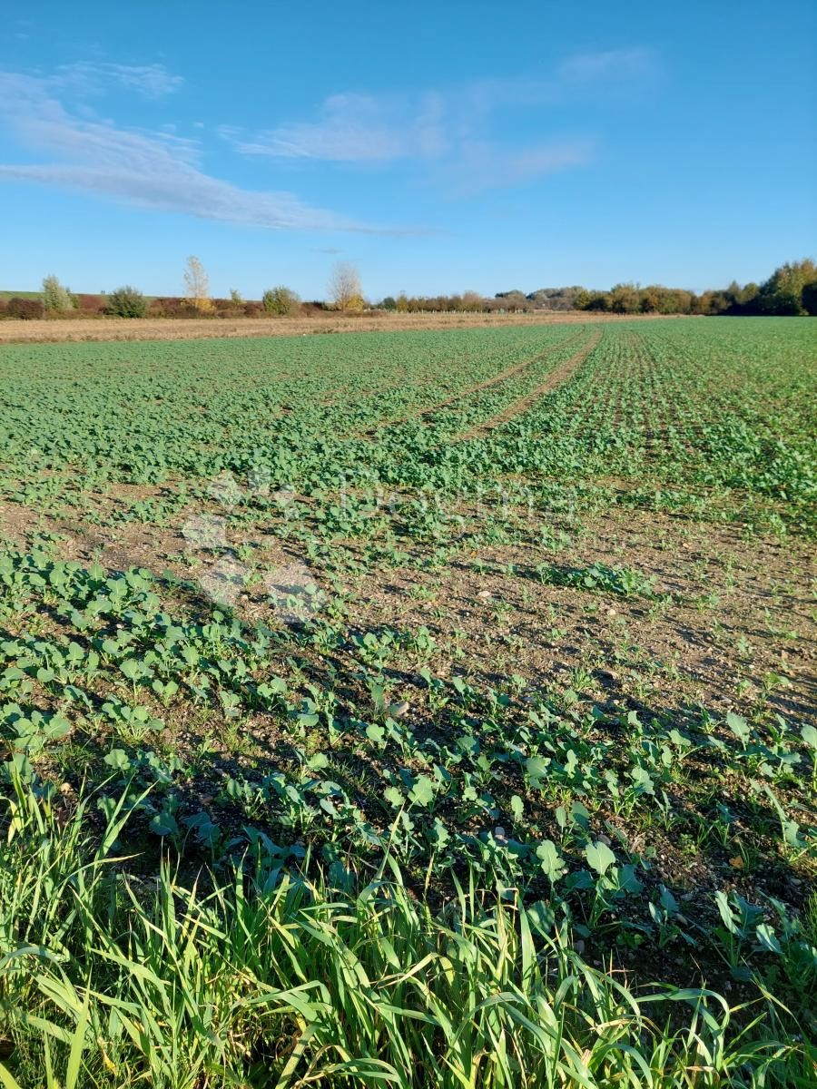 Terreno In vendita - VARAŽDINSKA TRNOVEC BARTOLOVEČKI