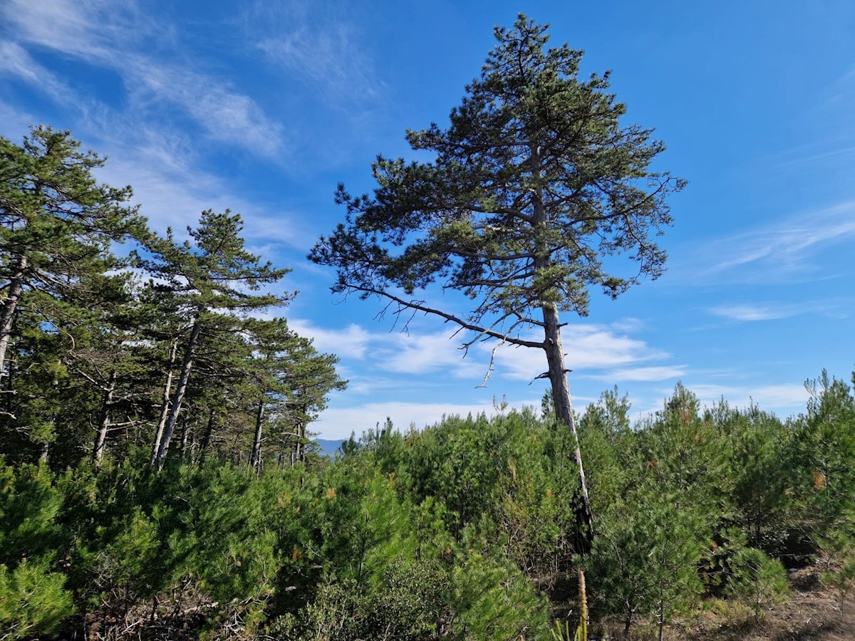 Land For sale - ŠIBENSKO-KNINSKA SKRADIN