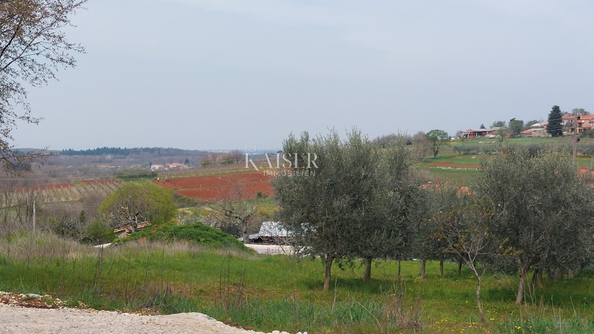 Terrain À vendre - Istarska Poreč - foto 1/3