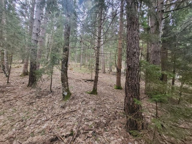 Terrain à vendre 3339 m² – Ravna Gora